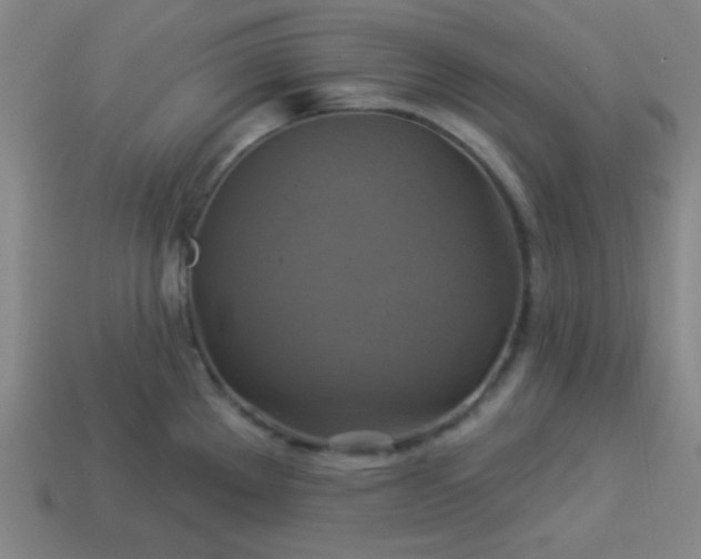 X0000114101289200910191634