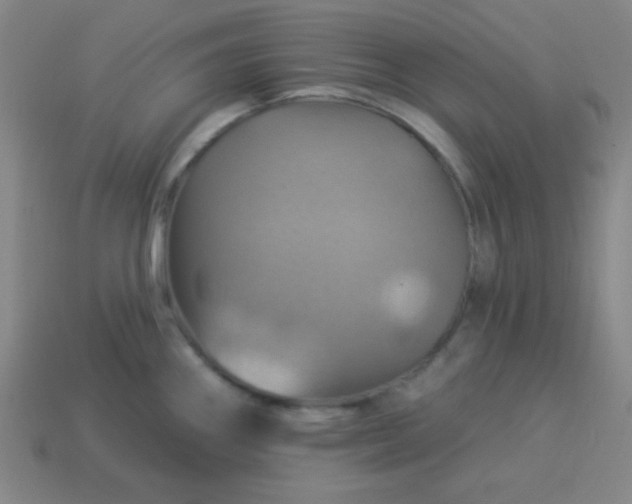 X0000114101290200910191634