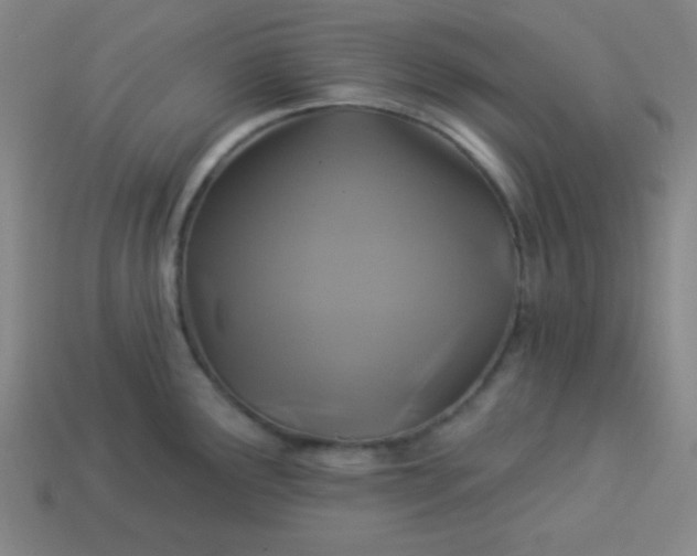 X0000114101291200910191634