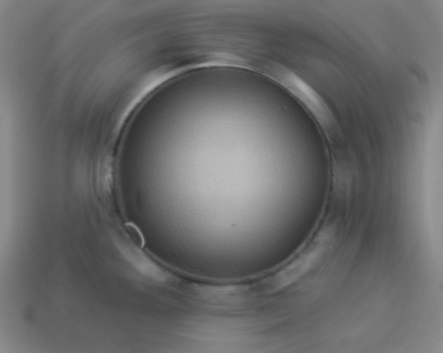 X0000114101292200910191634