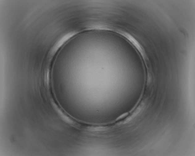 X0000114101293200910191634