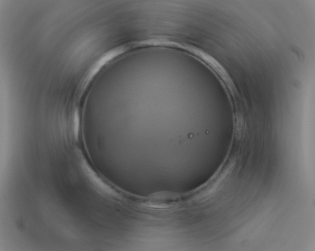 X0000114101295200910191634