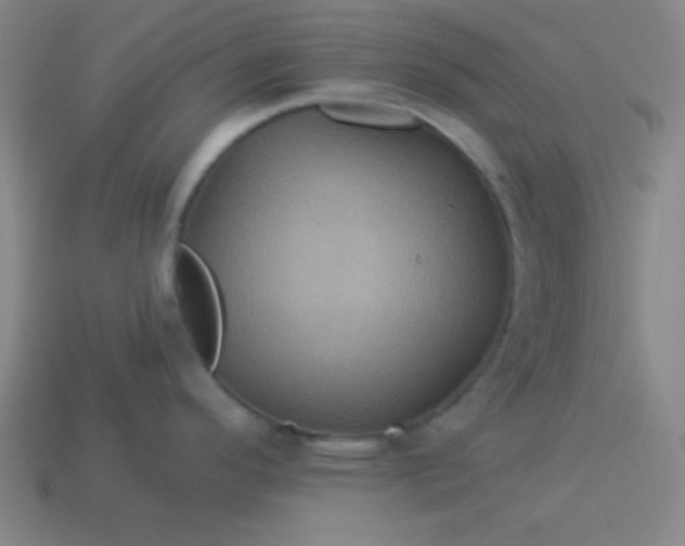 X0000114101296200910191634