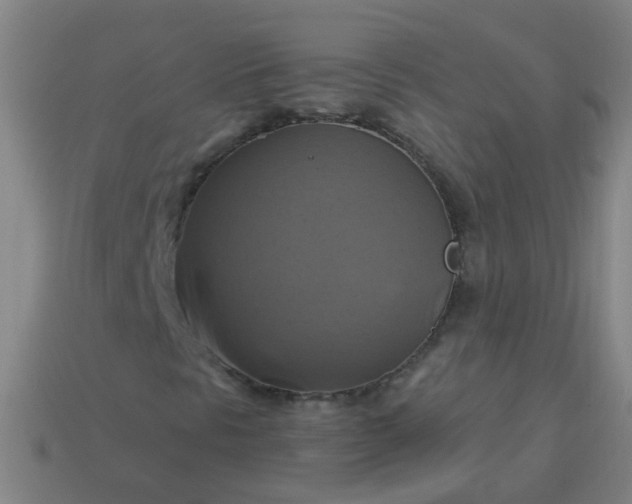 X0000114101297200910191634