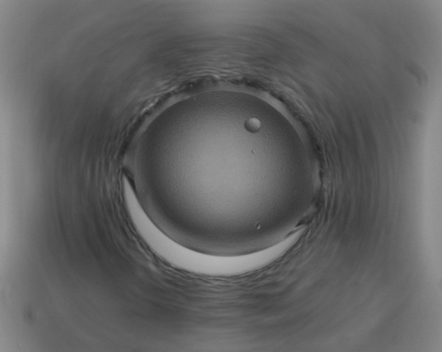 X0000114101298200910191634