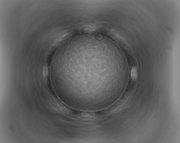 X0000114101299200910191634