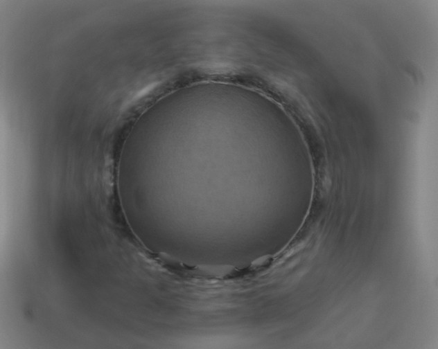 X0000114101301200910191634