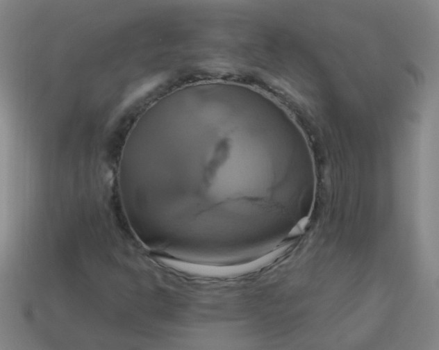 X0000114101302200910191634