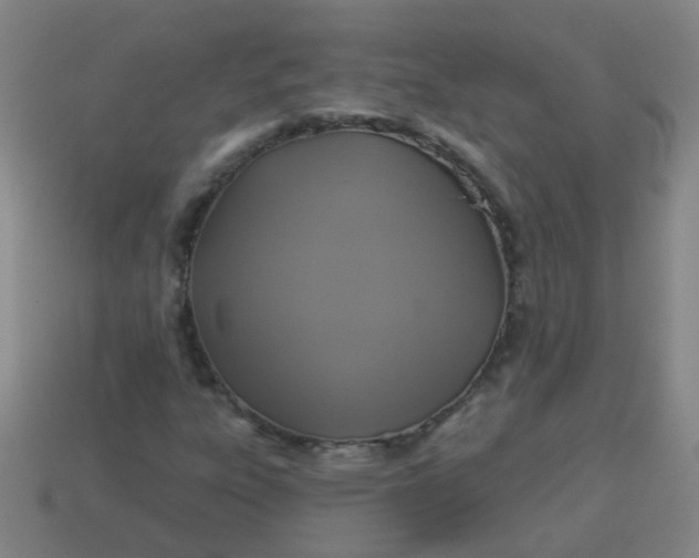 X0000114101303200910191634