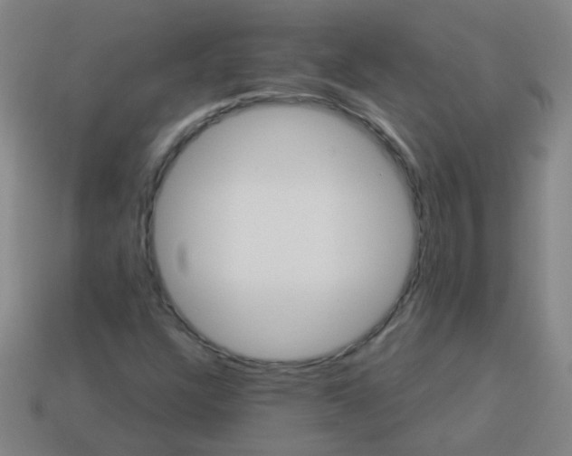 X0000114101304200910191634