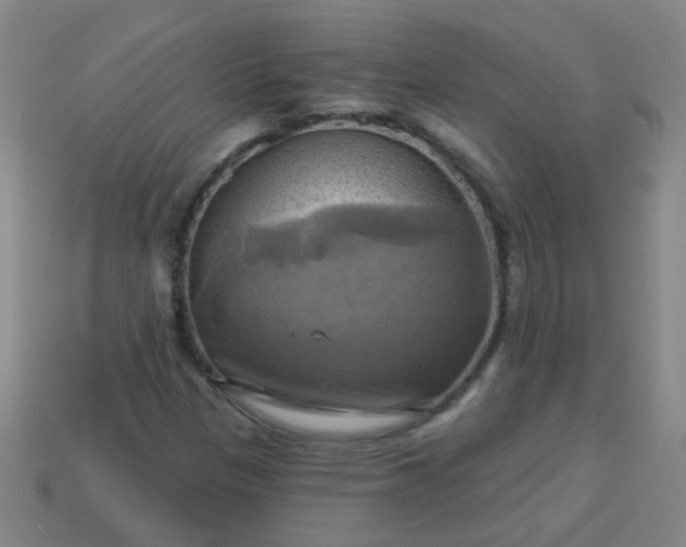 X0000114101305200910191634