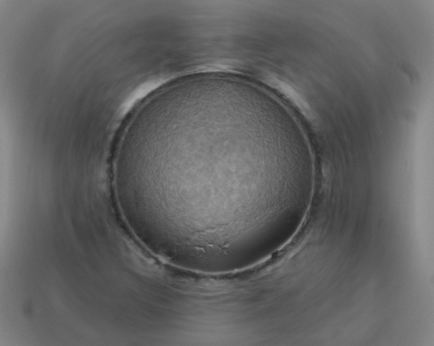 X0000114101308200910191634