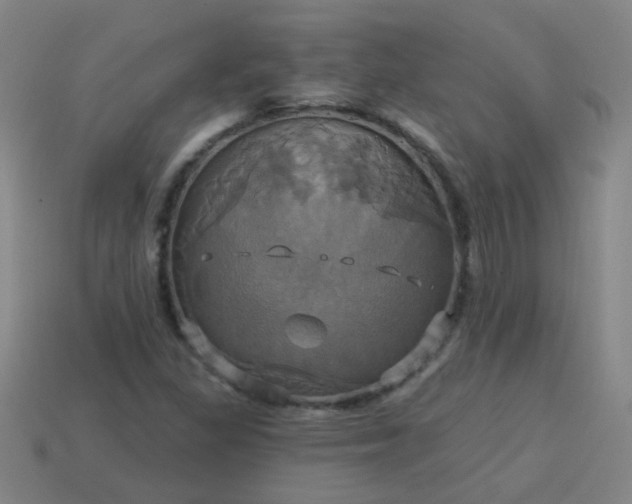 X0000114101309200910191634