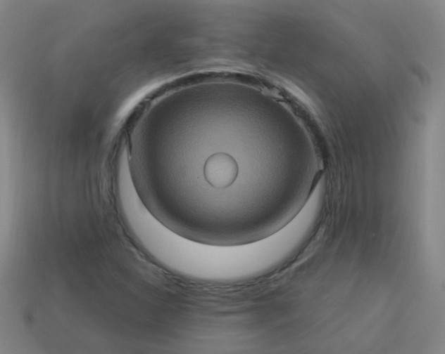 X0000114101310200910191634