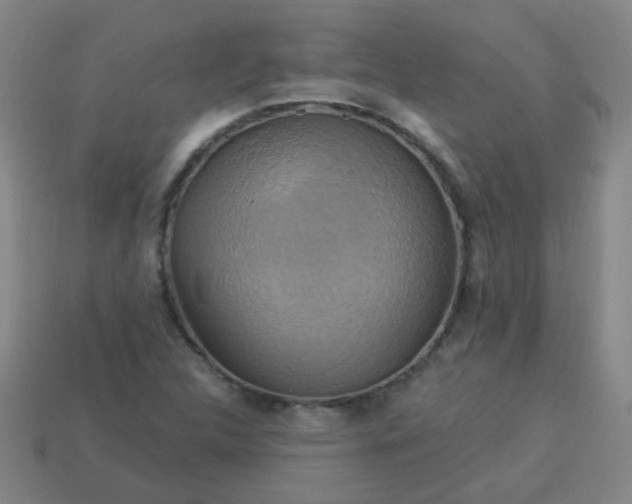 X0000114101312200910191634