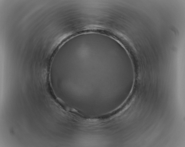 X0000114101313200910191634