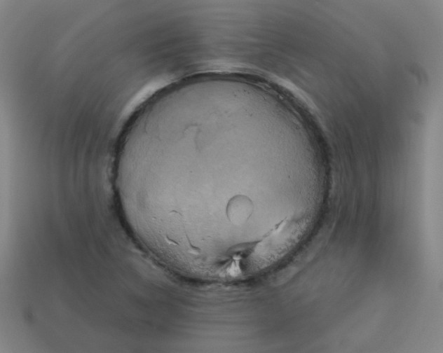 X0000114101314200910191634