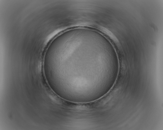 X0000114101316200910191634