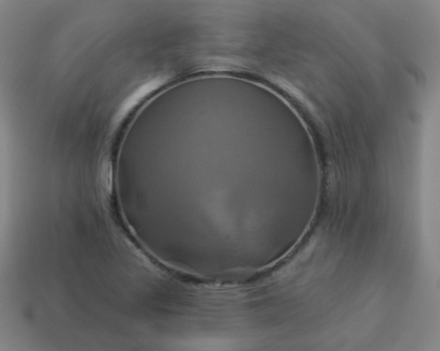 X0000114101317200910191634