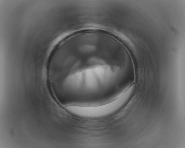 X0000114101318200910191634