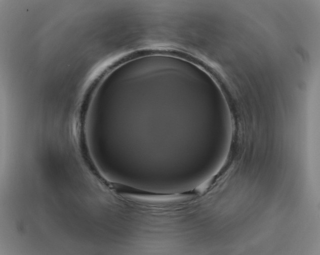 X0000114101319200910191634