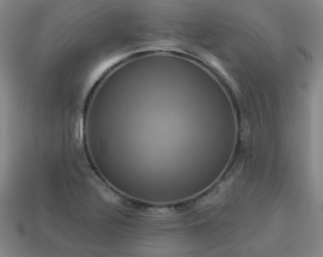 X0000114101320200910191634