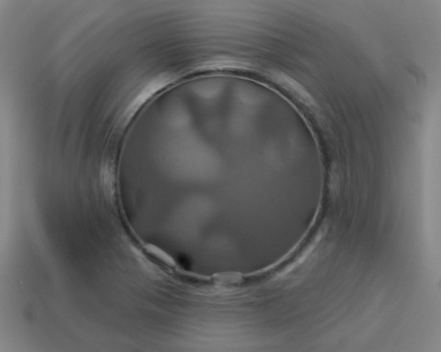 X0000114101321200910191634