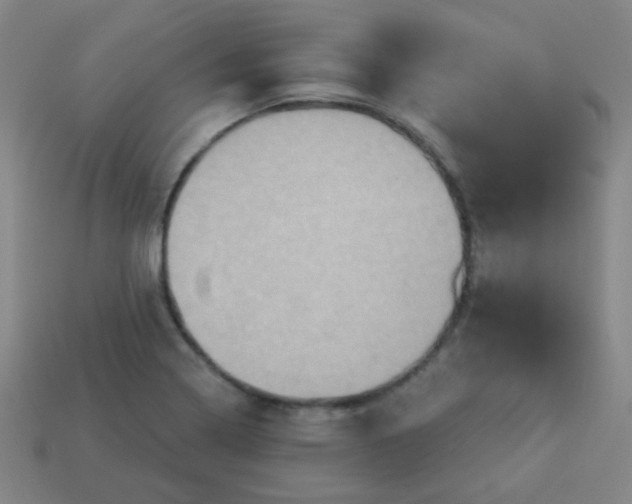 X0000114101322200910191634