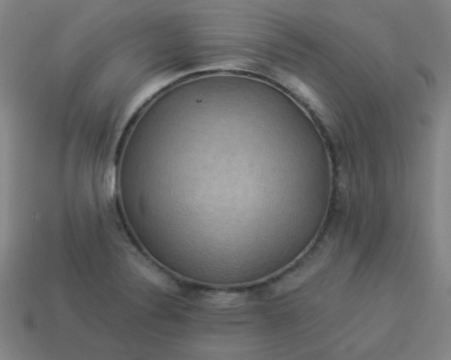 X0000114101324200910191634