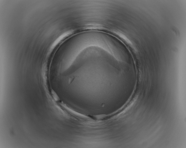 X0000114101325200910191634