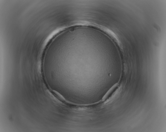 X0000114101326200910191634