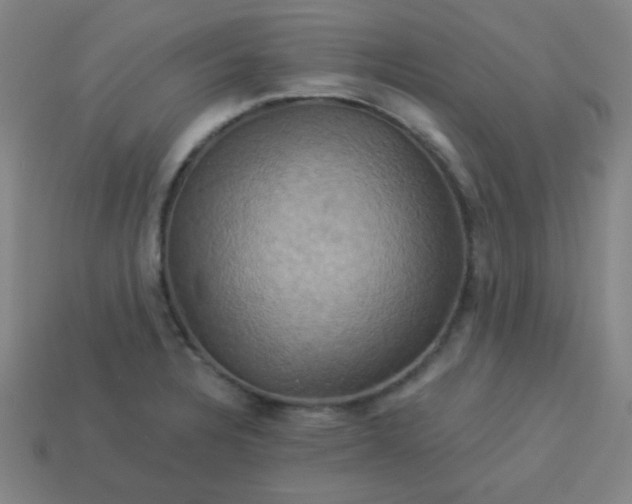 X0000114101328200910191634