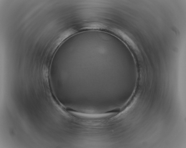 X0000114101329200910191634