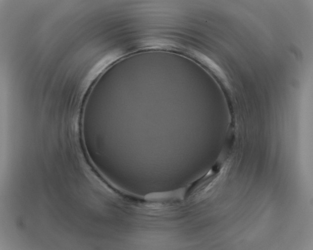 X0000114101330200910191634