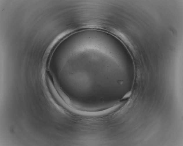 X0000114101331200910191634