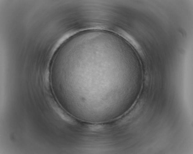 X0000114101332200910191634