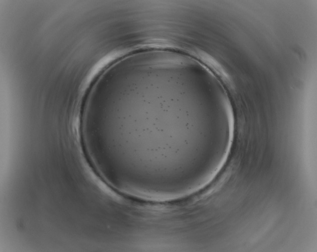 X0000114101334200910191634