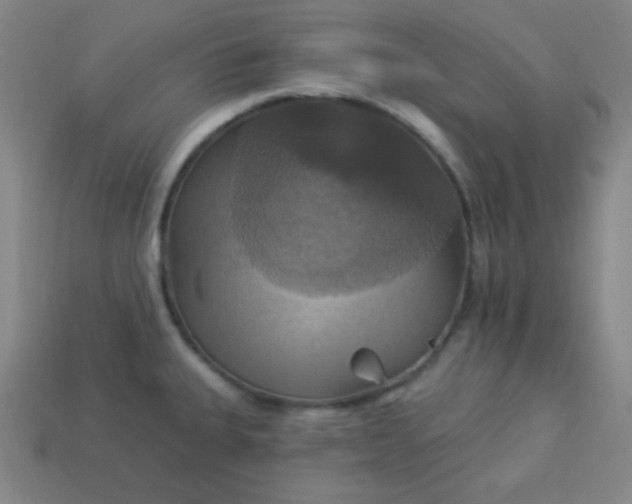 X0000114101335200910191634