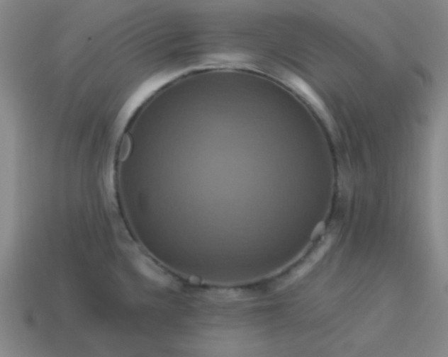 X0000114101336200910191634