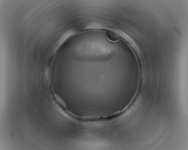 X0000114101337200910191634