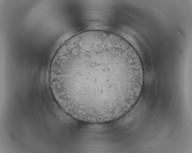 X0000114101338200910191634