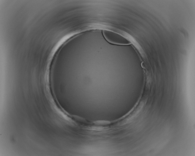 X0000114101339200910191634