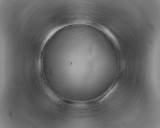 X0000114101340200910191634