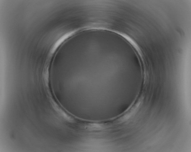 X0000114101341200910191634