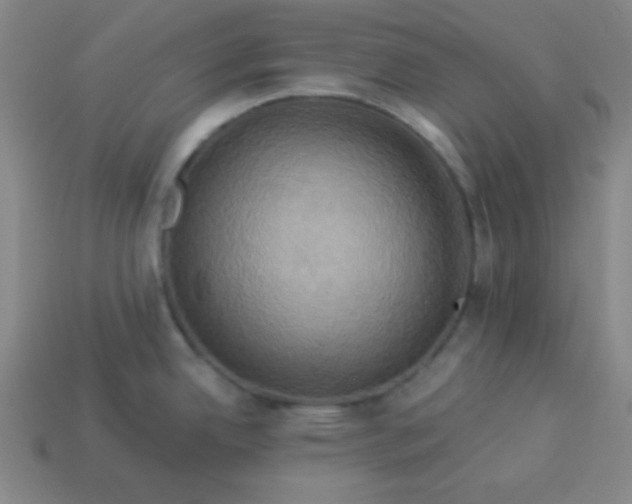 X0000114101342200910191634