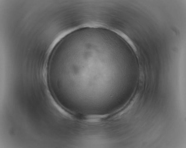 X0000114101343200910191634