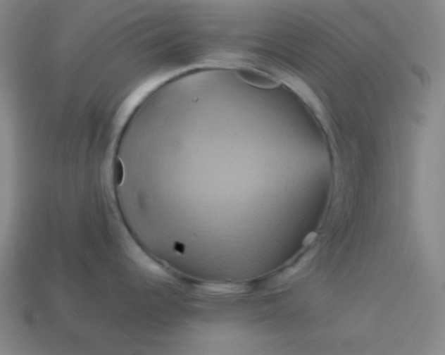 X0000114101344200910191634