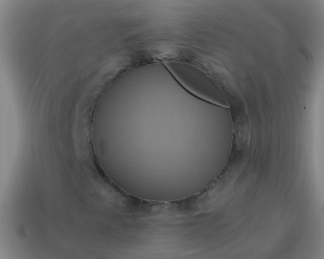 X0000114101345200910191634