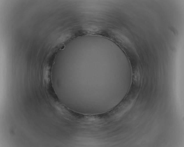 X0000114101346200910191634