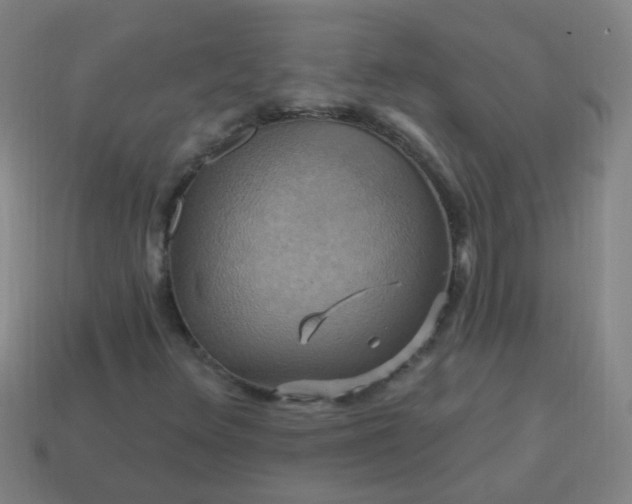 X0000114101348200910191634